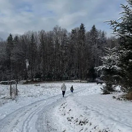 Na Lipowych Wzgórzach *